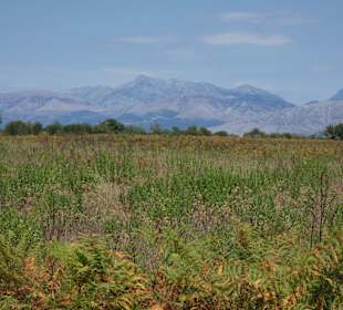 Inselrundfahrt Korfu