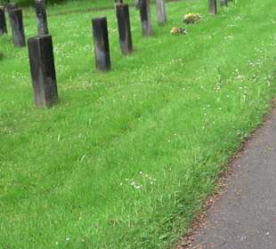 Waldfriedhof Degerloch