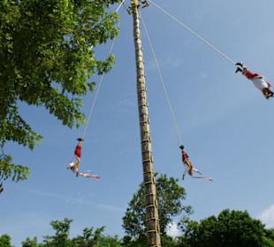 Ludzie ptaki- pokaz w Xcaret