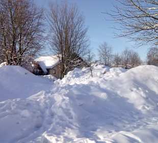Skigebiet Großer Arber