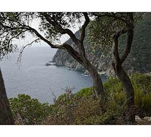 Berg Athos - "Holidays and more"