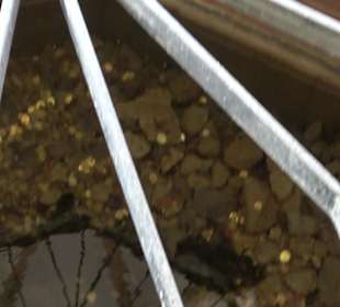 Kreuzgang Kloster Blaubeuren