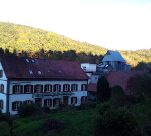 Naturdenkmal Elendsklamm in Landstuhl