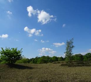 Spaziergang durch den Sandtrockenrasen Achim