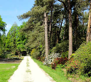 Impressionen vom Rundweg durch den Park