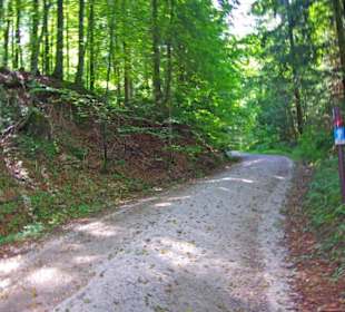 Der Therapeutische Wanderweg