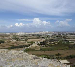 MDINA 2014  