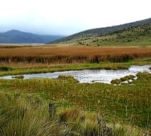 Cotopaxi Nationalpark