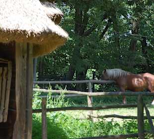 Muzeum Wsi Lubelskiej