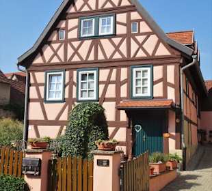 Rundgang durch die Altstadt von Königsberg