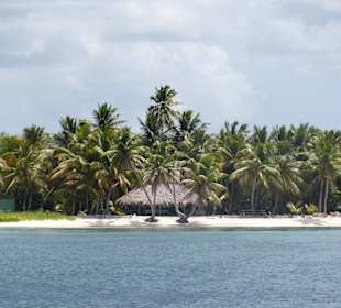 Saona