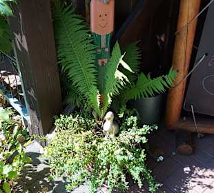 Wildpark Osterzgebirge