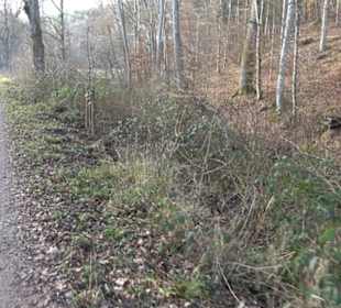 Schönbuch Schaichtal