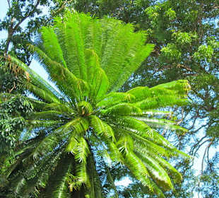 St  Johns Church - Ausblick