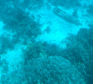 Glasbodenboot Tour Hurghada