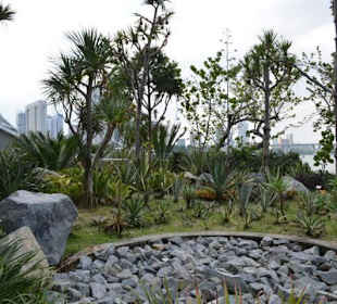 Gardens by the Bay