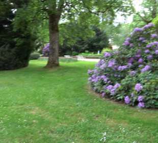 Kurpark Freudenstadt