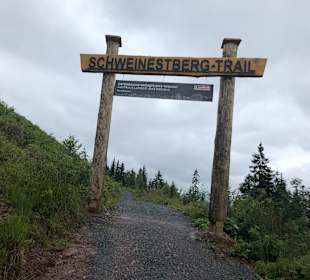 Wandern Fieberbrunn