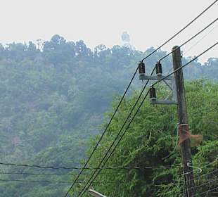 Aussicht zum Big Buddha 