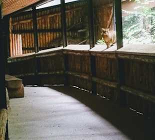 Nationalpark Bayerischer Wald