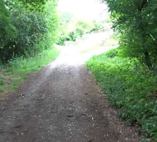 Schutzgebiet Spitzberg, Pfaffenberg