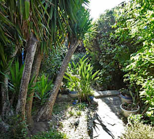 Gärtchen in der Altstadt von Collioure