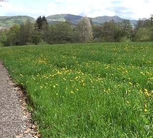 Naturerlebnisweg des NABU-Metzingen