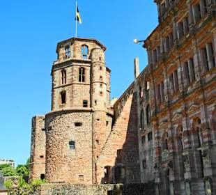 Nordseite des Friedrichbaus