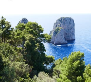 Bild von oben gesehen