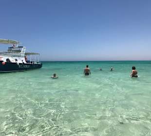 Ein Traum im Roten Meer 