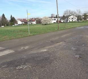 Gomaringer Rundweg - Zu den Giganten im Wald