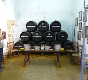 Kunstsammlung in Jerez