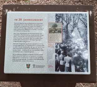 Upstalsboom in Aurich