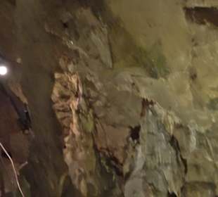 Nebelhöhle