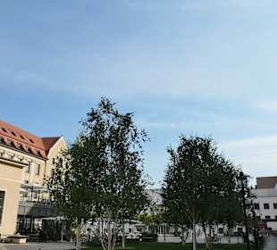 Besuch des FORUM an der MUSEUMSINSEL