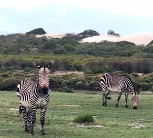 De Hoop Nature Reserve