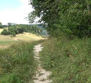 Berg Burgholz Holzelfingen