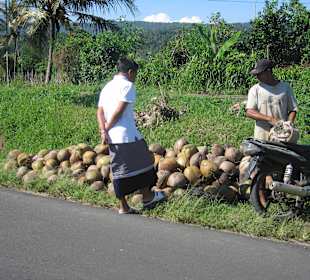 Wayan mit Kokosnuss-Händler