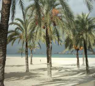 Strandpromenade von El Arenal