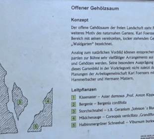 Karl-Foerster-Garten