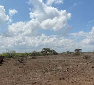 Friedliches miteinander im Samburu