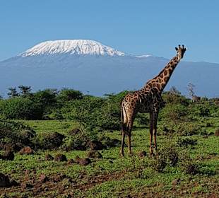 Sonstiges Freizeitbild