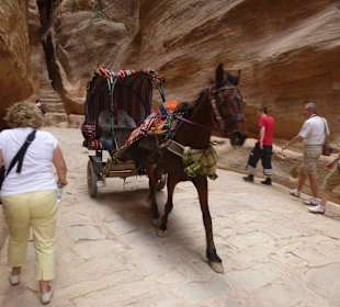 Vorsicht Kutsche, die fahren alles um