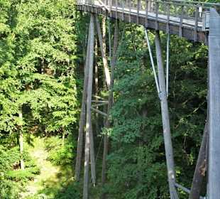 Impressionen vom Baumwipfelpfad