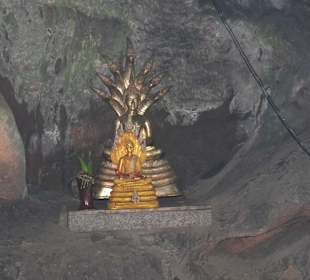 Drachen-Höhlen Tempel
