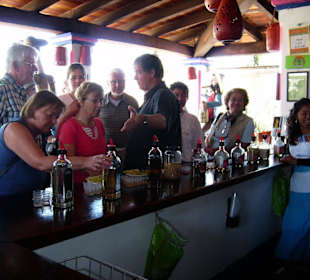 Verkostung von Mezcal