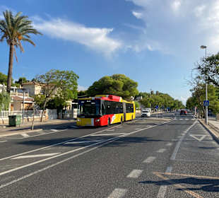 Stadtrundgang Can Picafort