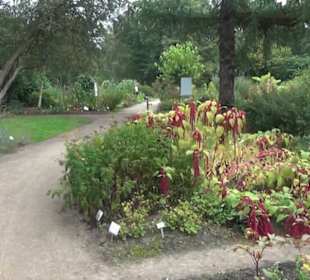 Botanischer Garten