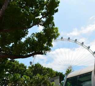 Singapore Flyer
