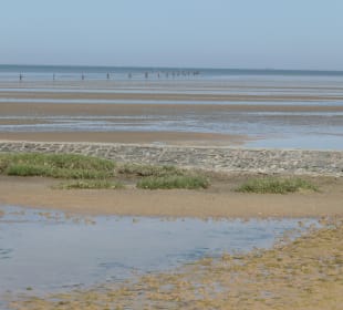 Wattenmeer-Wanderung an der Nordsee bei Cuxhaven